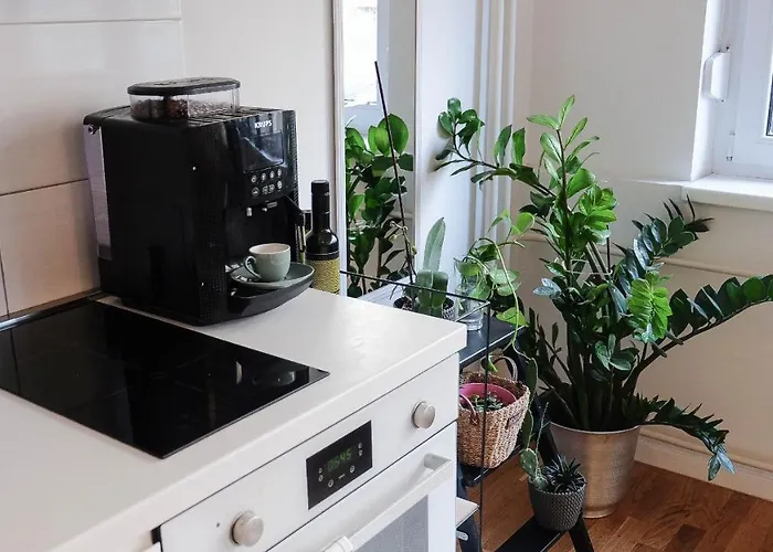 Cosy Apartment